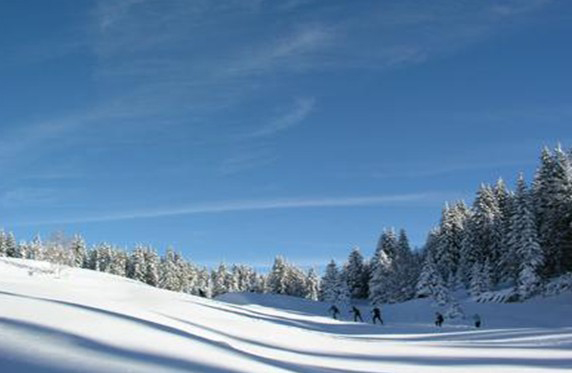 1386148790.jpg 1386148790.jpg